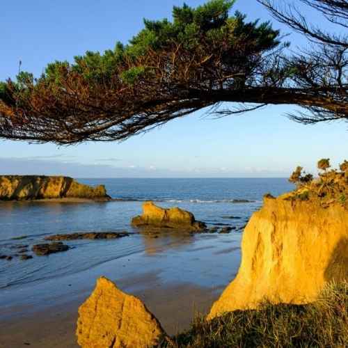 Quartier de la grande-île à Pénestin