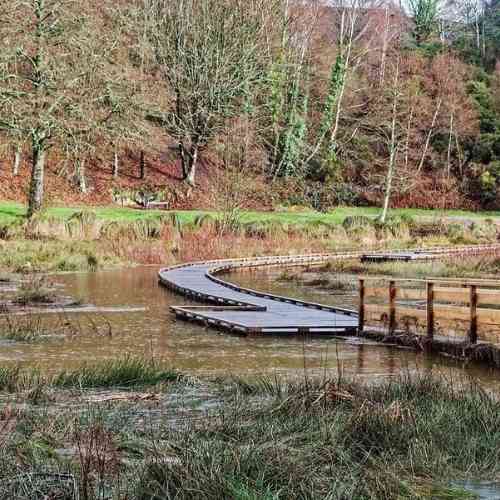 Passerelles sur l'étang de Célac à Questembert
