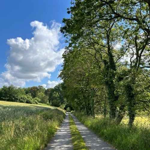 Lieu-dit de Coët Ruel à Sulniac