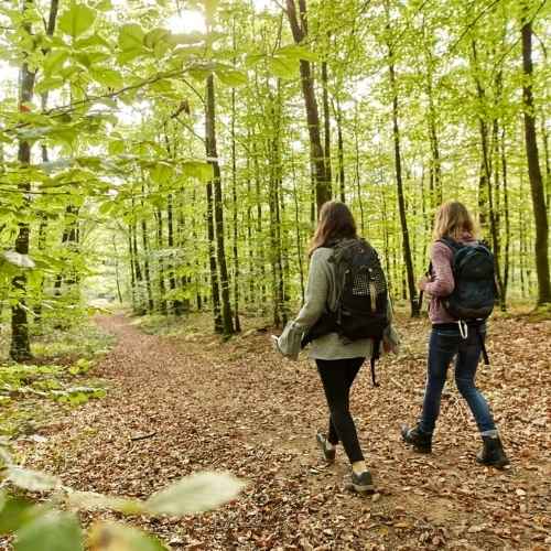 Les Vallons à Sulniac